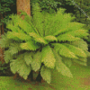 Fern Plant Diamond Paintings