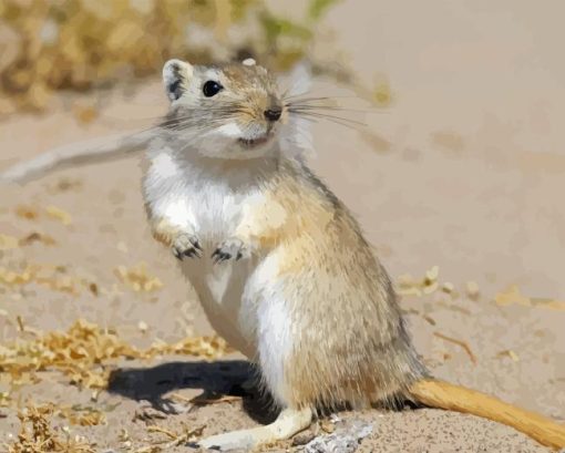 Gerbil Diamond Paintings