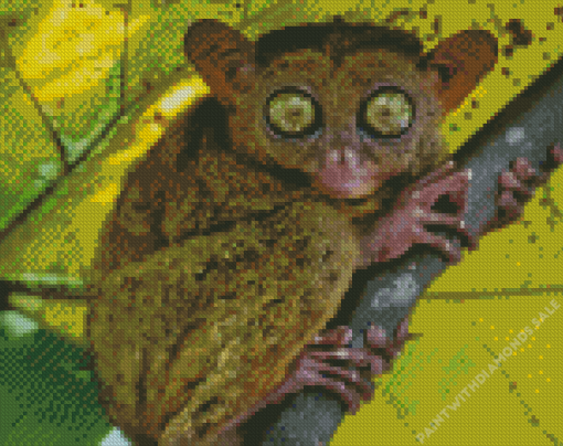 Philippine Tarsier Diamond Paintings