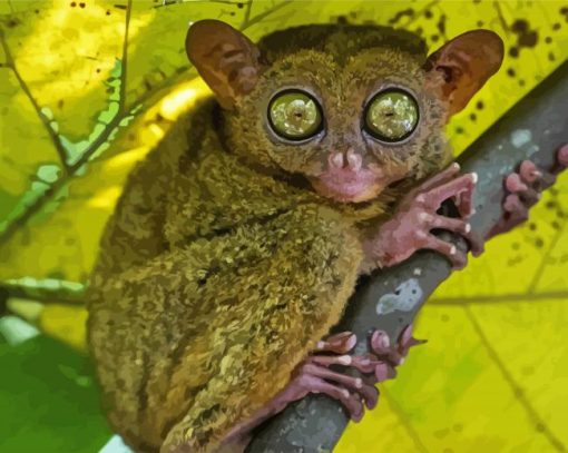 Philippine Tarsier Diamond Paintings