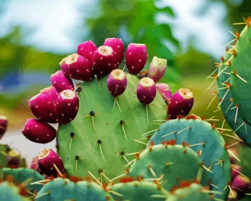 Prickly pears Diamond Paintings