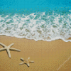 Starfish on beach with blue ocean Diamond Paintings