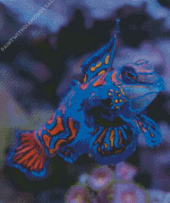 blue mandarin fish Diamond Paintings