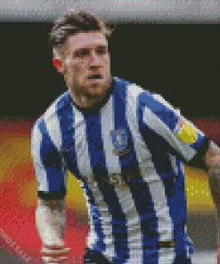 english footballer Josh windass Diamond Paintings