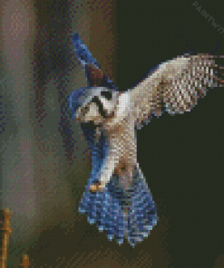 flying Northern hawk owl Diamond Paintings