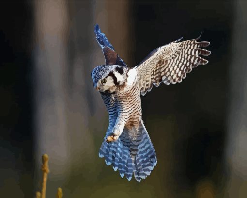 flying Northern hawk owl Diamond Paintings