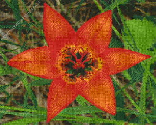 orange Wood Lily Diamond Paintings