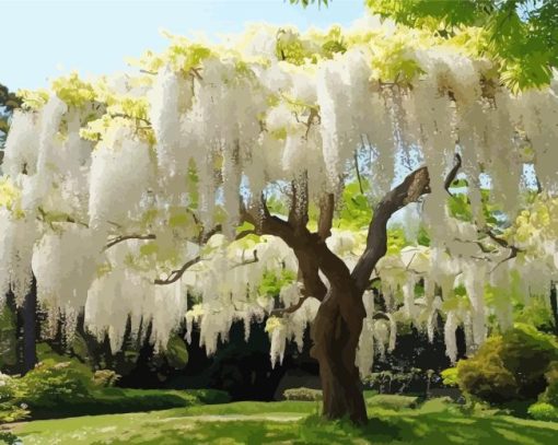 white Wisteria tree Diamond Paintings