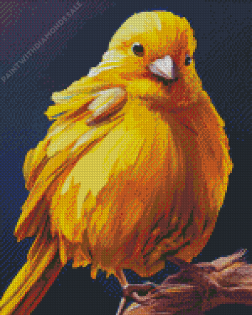 yellow canary Diamond Paintings