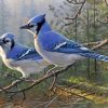 Blue Jay Birds Diamond Paintings