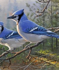 Blue Jay Birds Diamond Paintings