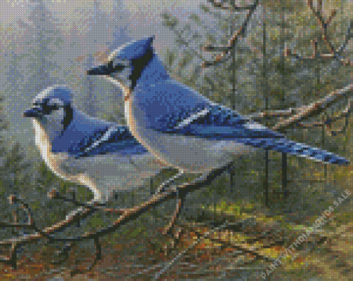 Blue Jay Birds Diamond Paintings