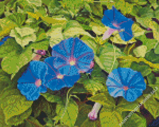 Blue Morning Glory Flowers Diamond Painting