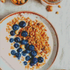 Blueberry Granola Diamond Paintings