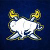 Buffalo Sabres Club Logo Diamond Painting