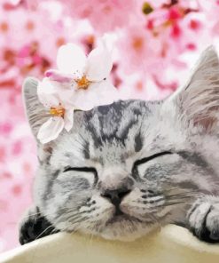 Cat and cherry blossoms Diamond Paintings