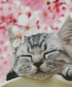 Cat and cherry blossoms Diamond Paintings