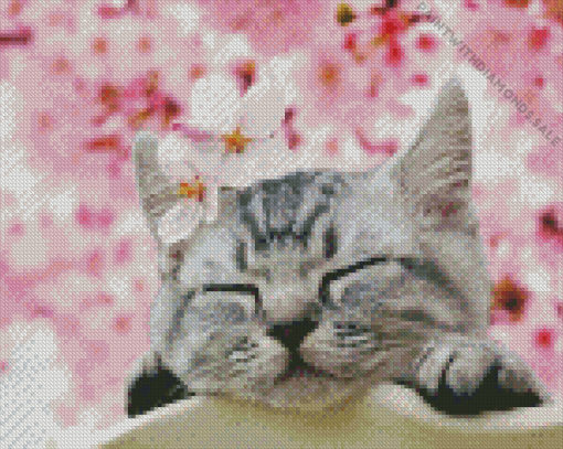 Cat and cherry blossoms Diamond Paintings