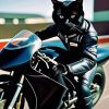 Cat on motorcycle Diamond Paintings