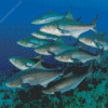 Cobia fish Diamond Paintings