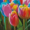 Colorful Tulips Diamond Painting