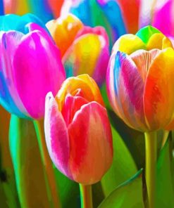 Colorful Tulips Diamond Painting