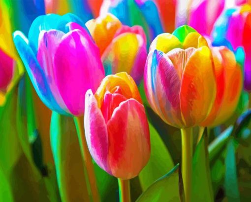 Colorful Tulips Diamond Painting