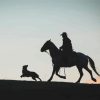 Cowboy Horse And Dog Silhouette Diamond Painting