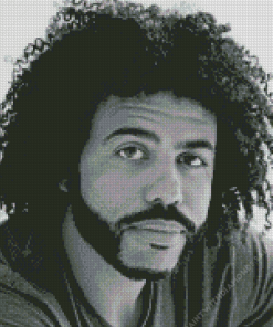 Daveed Diggs Diamond Painting