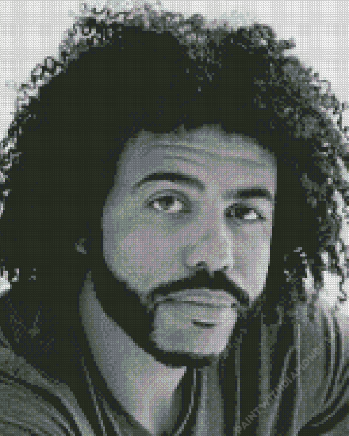 Daveed Diggs Diamond Painting