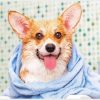 Dog in bath Diamond Paintings