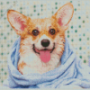 Dog in bath Diamond Paintings