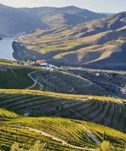 Douro Valley Portugal Diamond Painting