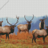 Elk Herds Diamond Painting