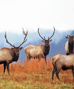 Elk Herds Diamond Painting