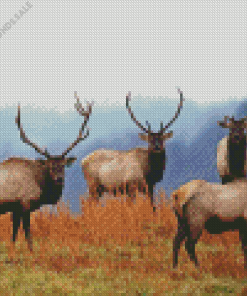 Elk Herds Diamond Painting