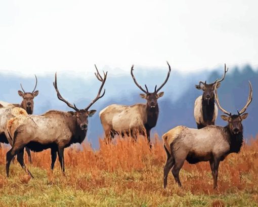 Elk Herds Diamond Painting