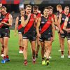 Essendon Football Club Diamond Paintings