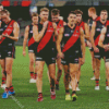 Essendon Football Club Diamond Paintings