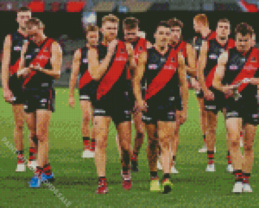 Essendon Football Club Diamond Paintings