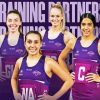 Firebirds netball Diamond Paintings