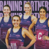 Firebirds netball Diamond Paintings