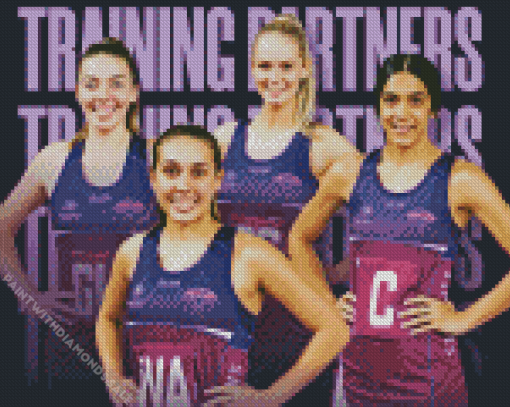 Firebirds netball Diamond Paintings