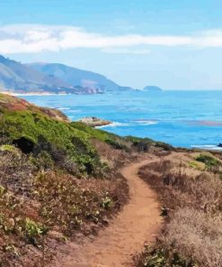 Garrapata State Park Diamond Paintings