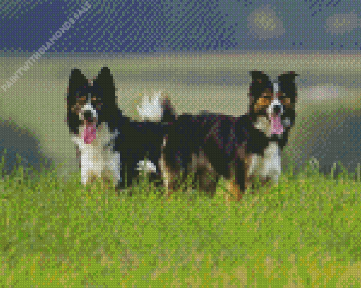 Herding Dog Diamond Painting