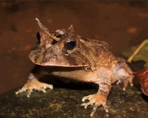 Horned frog Diamond Paintings