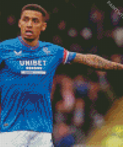 James Tavernier Diamond Painting