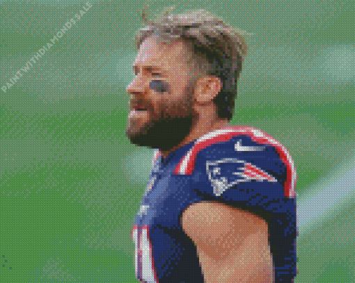 Julian Edelman Diamond Paintings