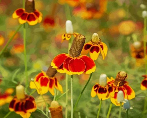 Mexican Hat Flower Diamond Painting