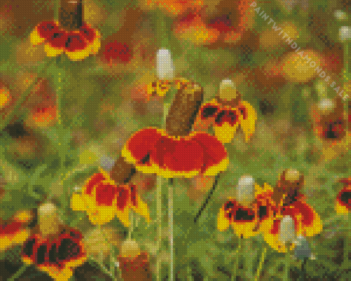 Mexican Hat Flower Diamond Painting